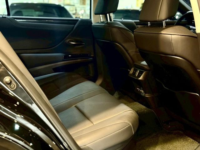 豪華版 ACC 盲點 車維 車偏 天窗 電動椅 加熱椅  第12張相片