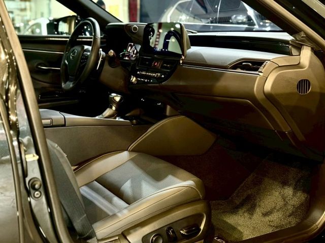 豪華版 ACC 盲點 車維 車偏 天窗 電動椅 加熱椅  第13張相片