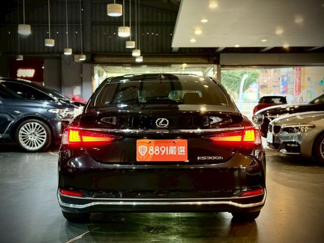 豪華版 ACC 盲點 車維 車偏 天窗 電動椅 加熱椅  第14張相片