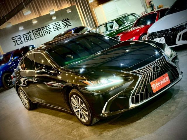 豪華版 ACC 盲點 車維 車偏 天窗 電動椅 加熱椅  第16張相片