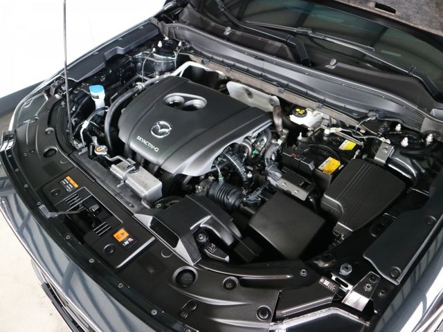 里程履約保證僅跑3萬 五年延長保固 環景 行車紀錄器 CARPLAY 盲點 電動椅 抬頭顯示器 恆溫 ACC LED頭燈  第20張相片