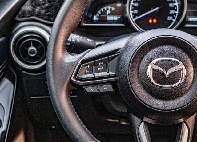 15S PT版 定速巡航 車道偏移警示 無線充電 Apple CarPlay 倒車顯影 自動感應頭燈 全原廠保養  第11張相片