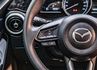 15S PT版 定速巡航 車道偏移警示 無線充電 Apple CarPlay 倒車顯影 自動感應頭燈 全原廠保養  第11張縮圖