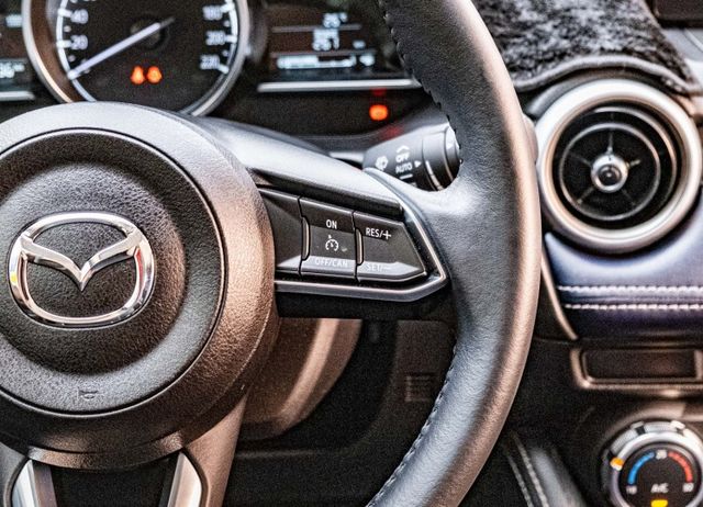 15S PT版 定速巡航 車道偏移警示 無線充電 Apple CarPlay 倒車顯影 自動感應頭燈 全原廠保養  第12張相片