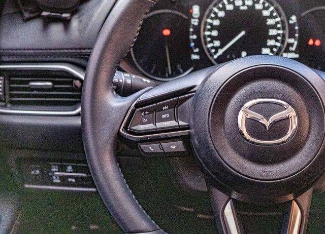 Premium SE版 雙前電動椅加通風椅 環景影像 倒車顯影 電動尾門 全速域跟車 原廠6年保固中  第11張相片