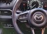 Premium SE版 雙前電動椅加通風椅 環景影像 倒車顯影 電動尾門 全速域跟車 原廠6年保固中  第11張縮圖