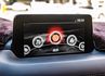 Premium SE版 雙前電動椅加通風椅 環景影像 倒車顯影 電動尾門 全速域跟車 原廠6年保固中  第13張縮圖
