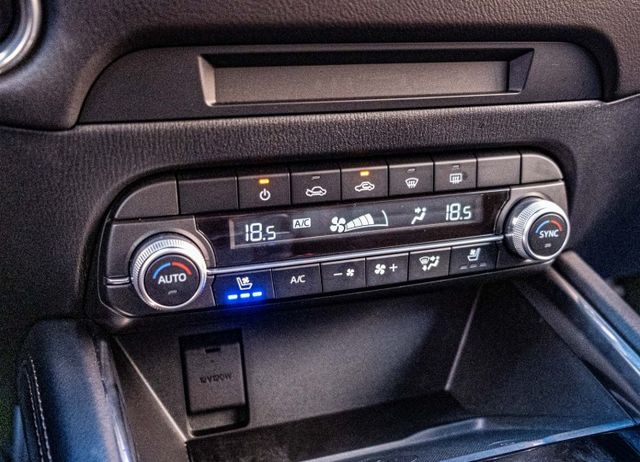 Premium SE版 雙前電動椅加通風椅 環景影像 倒車顯影 電動尾門 全速域跟車 原廠6年保固中  第15張相片