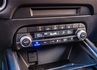 Premium SE版 雙前電動椅加通風椅 環景影像 倒車顯影 電動尾門 全速域跟車 原廠6年保固中  第15張縮圖