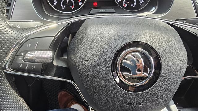 FABIA  第8張相片