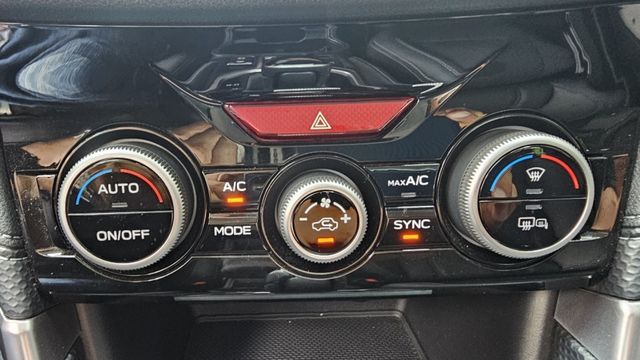 FORESTER  第17張相片