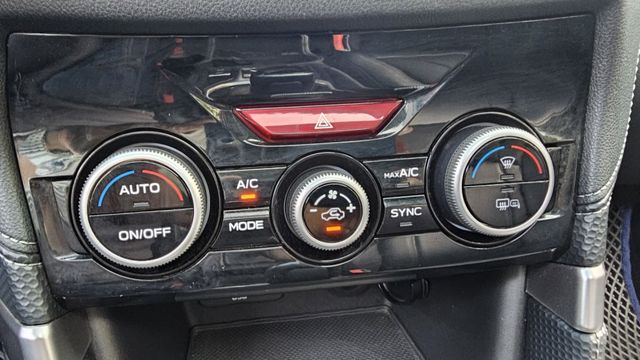 FORESTER  第17張相片