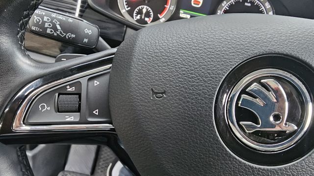 KODIAQ 2017-2024  第11張相片