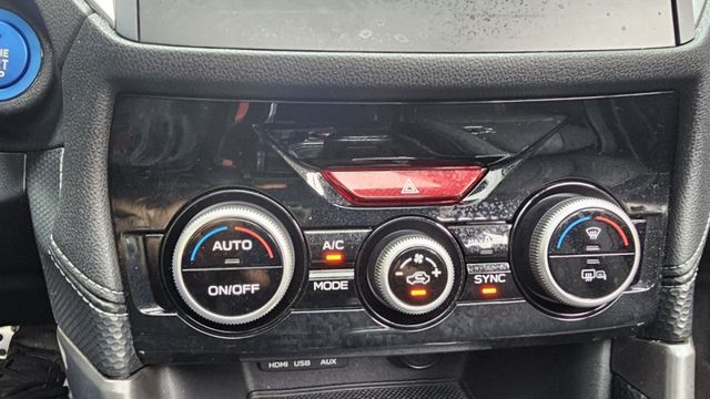 FORESTER  第17張相片