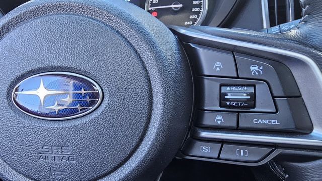FORESTER  第20張相片