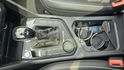 TIGUAN  第19張縮圖