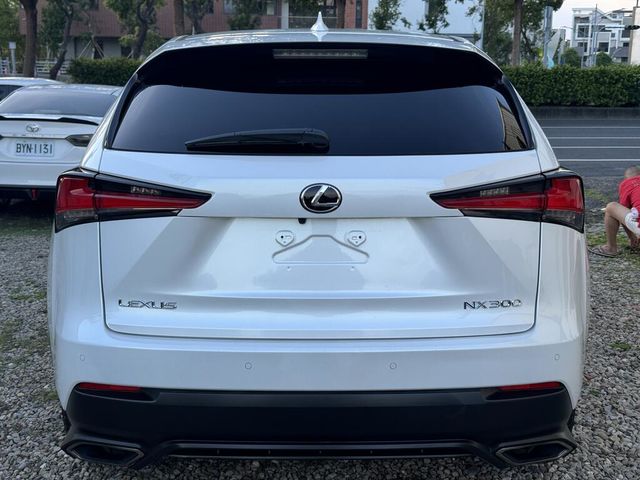 LEXUS凌志 NX300  第6張相片