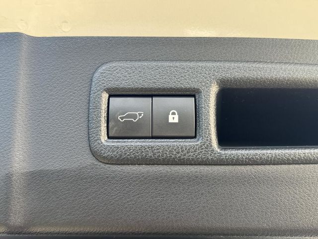 LEXUS凌志 NX300  第8張相片