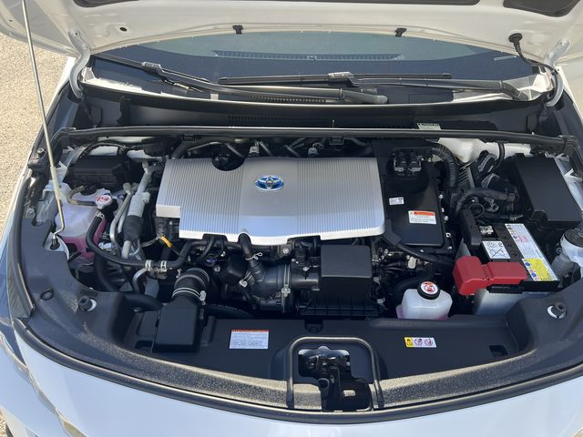 PHV 1.8  第10張相片