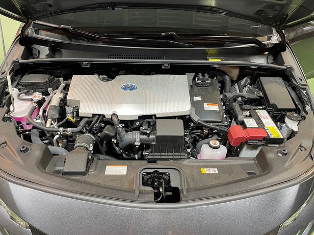 PHV 1.8  第10張相片