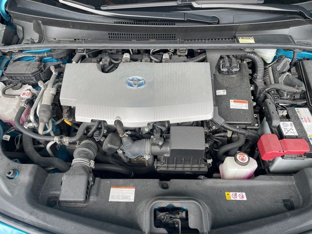 PHV 1.8  第10張相片