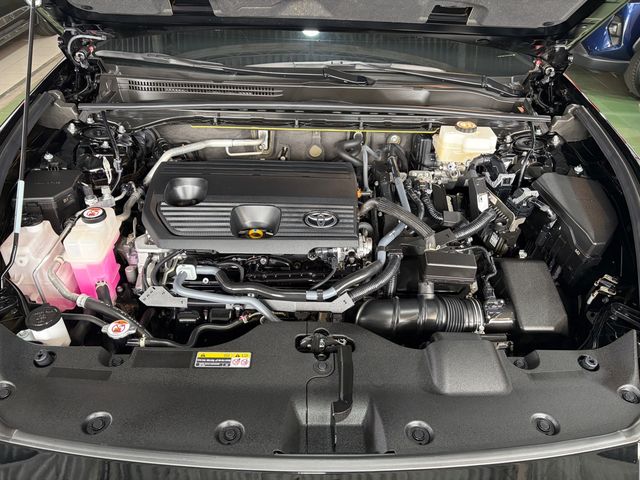 CROWN 2.5  第10張相片