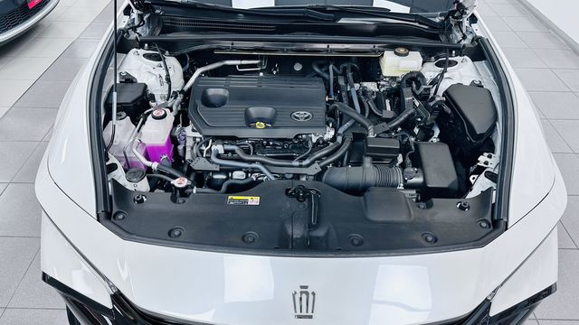 CROWN 2.5  第10張相片