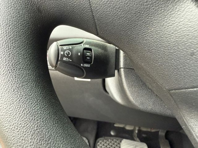 定速/液晶影幕/循跡防滑/法式進口優質代步車!省油省稅金~  第10張相片