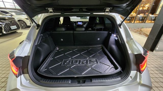 AURIS 2.0  第9張相片