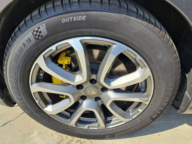 LEVANTE  第20張相片