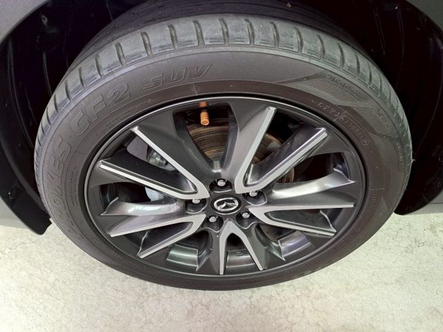 CX-3  第20張相片