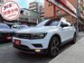 TIGUAN  第1張縮圖