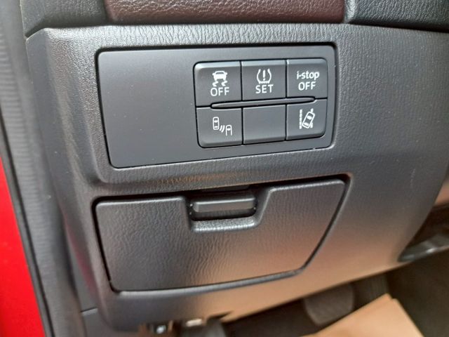 6  第11張相片