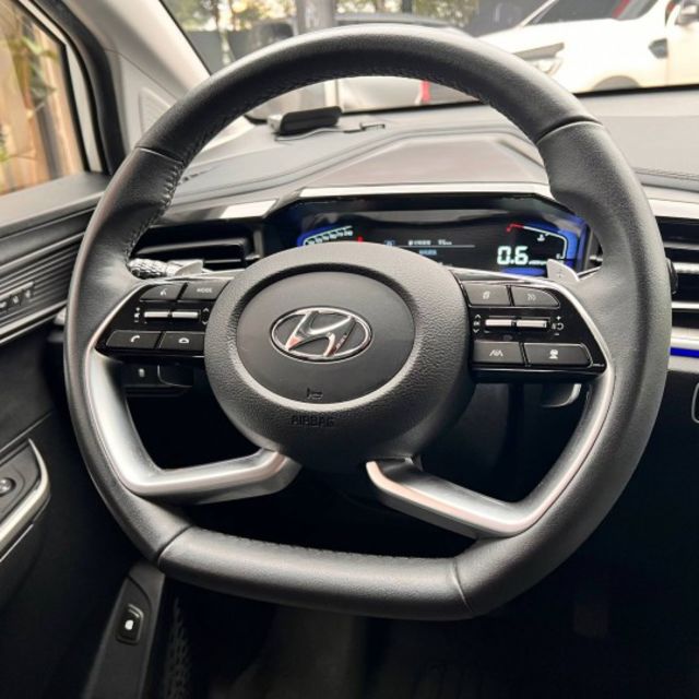 七人座  ACC主動跟車系統  車道維持輔助系統  360環景影像 電動尾門 全景天窗  第9張相片