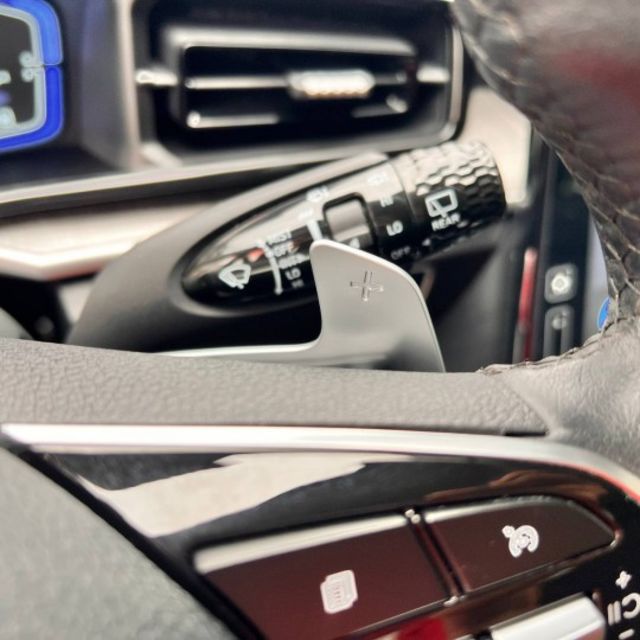 七人座  ACC主動跟車系統  車道維持輔助系統  360環景影像 電動尾門 全景天窗  第12張相片