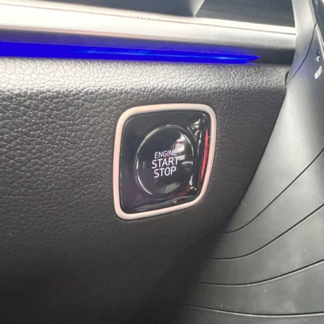 七人座  ACC主動跟車系統  車道維持輔助系統  360環景影像 電動尾門 全景天窗  第13張相片