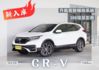 『主被動安全防護❖僅跑3萬6』環景影像｜6安｜無線CARPLAY｜車道偏移｜ACC定速｜導航｜碰撞預警｜電尾門｜休旅車  第1張縮圖