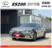 LEXUS ES200 2019年 2.0 淺棕 5005