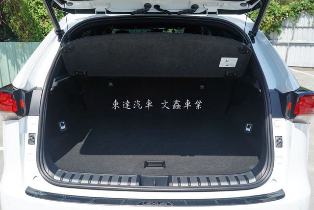 LEXUS凌志 NX300  第8張相片