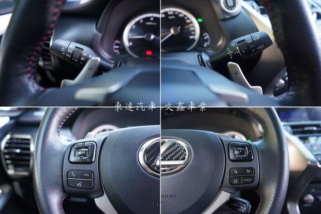 LEXUS凌志 NX300  第13張相片