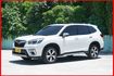 SUBARU速霸陸 FORESTER  第1張縮圖