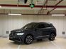 TIGUAN  第1張縮圖