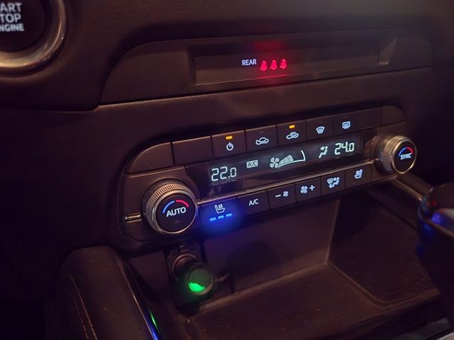 旗艦版 通風座椅 抬頭顯示 BOSS音響 記憶座椅 雙電動椅 電尾門 MRCC  第10張相片