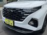 HYUNDAI現代 CUSTIN  第18張縮圖