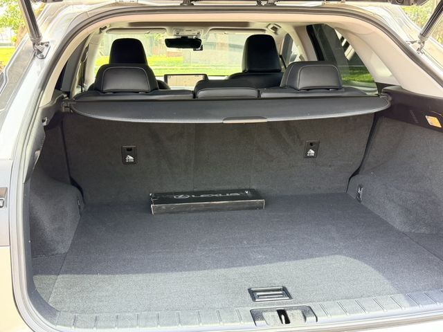 LEXUS凌志 RX300  第16張相片