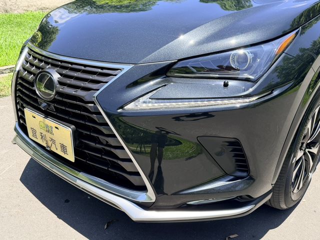 LEXUS凌志 NX200  第18張相片