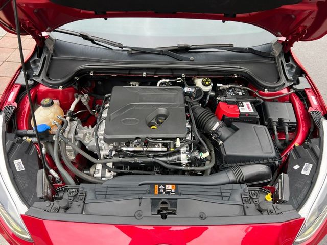 Ford/福特  Focus  第18張相片