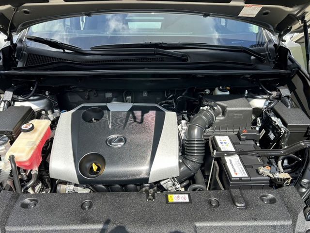 2019/2020年式小改款 菁英版 原鈑件 里程保證 ACC跟車 雙前座電熱椅 快撥鍵 倒車顯影認證車 有保固 可貸款  第19張相片