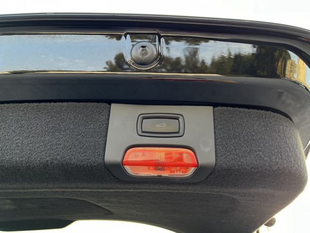〈台南太星汽車〉白金限定版 金屬璽玉黑車漆 Black/Red雙色內裝套件  第19張相片