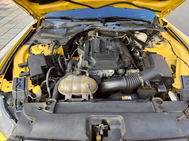 FORD福特 MUSTANG  第11張相片